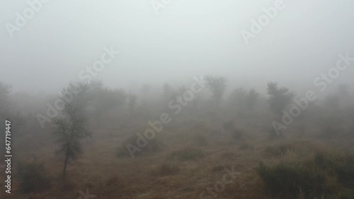 Foggy misty morning in rural India