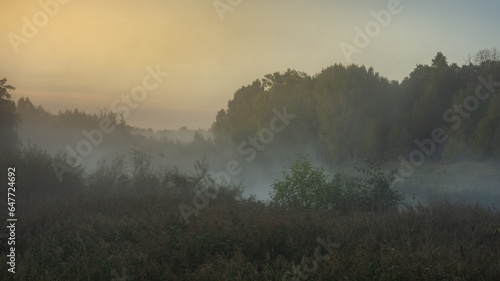 autumn foggy early morning over a narrow river with overgrown banks, bushes and thick reeds, trees and the dawn glow in the sky. 16:9 format. September colors