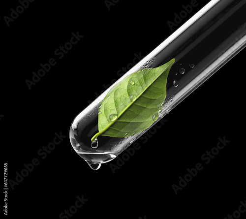 Leaf In A Test Tube With A Water Droplet On The End, Against A Black Background; Toronto, Ontario, Canada