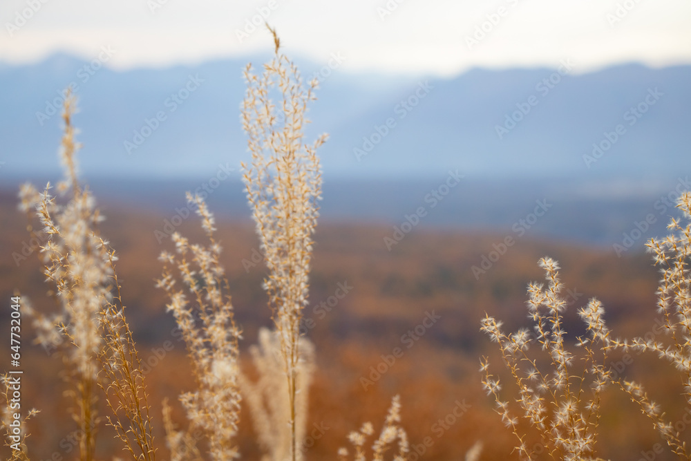 Beautiful countryside scenery along the Venus line in Ueda, Nagano, Japan Beautiful countryside scenery along the Venus line in Ueda, Nagano, Japan