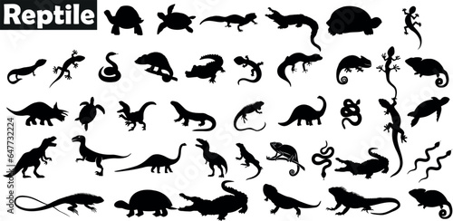 Reptile, Lizard, Snake, Turtle, Crocodile, Vector Illustration, Black Silhouette, White Background, Graphic Design, Educational Material, Nature, Wildlife, Herpetology, Zoology, Biology, Amphibian, Sc
