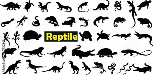 A set of silhouettes of reptiles, including snakes, lizards, turtles, and crocodiles. The reptiles are drawn in a simple, elegant style and are arranged in a circular pattern. The background is white.