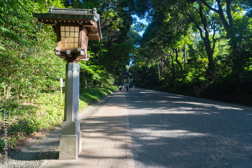 Tokyo, Japan. Meiji Jingu Shrine, the road leading to the main shrine