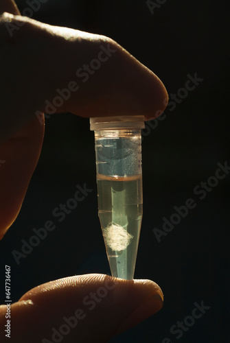 Dna isolated from a drop of bird blood and suspended in isopropanol photo