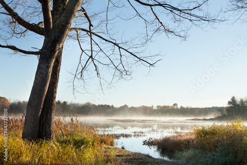 Mist rising over a large pond near belfast; Maine united states of america photo
