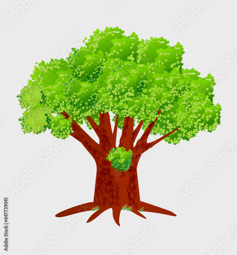 Huge old tree  isolated on white background. Vector illustration.