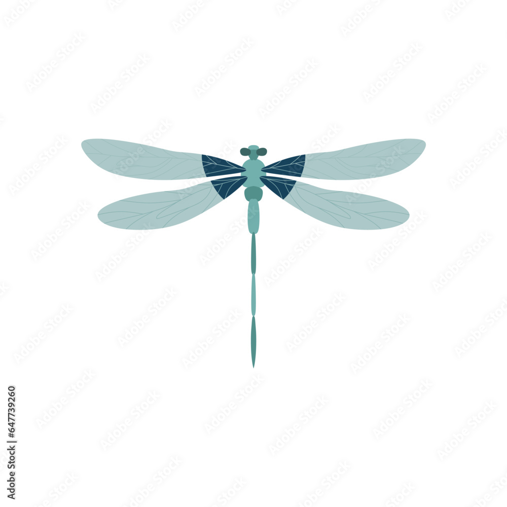 dragonfly flat design vector illustration dragonfly flat design vector illustration