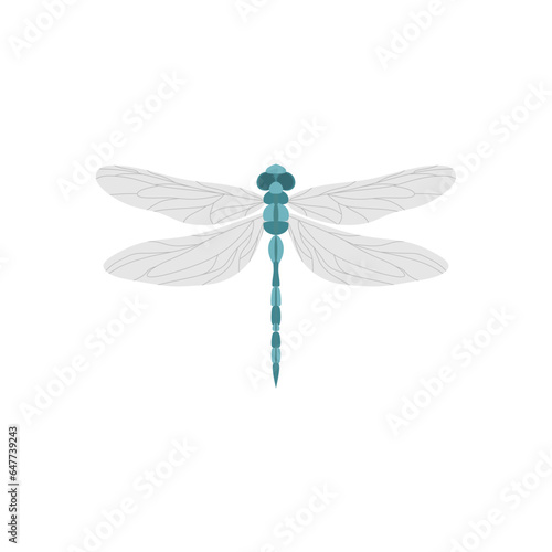 dragonfly flat design vector illustration