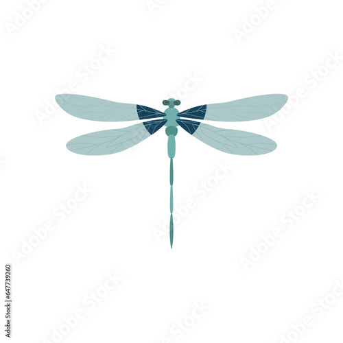 dragonfly flat design vector illustration