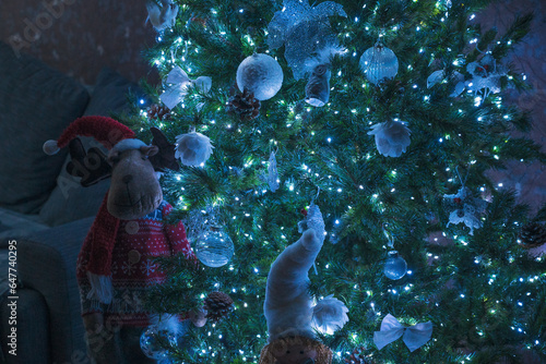 Close up of Christmas tree ...