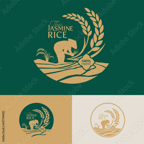 paddy rice premium organic natural product banner logo vector design