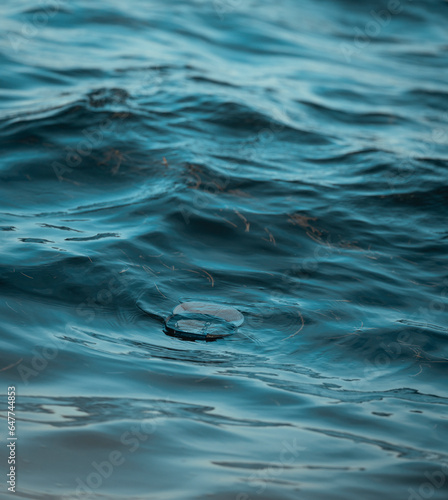 Canvas Print water sea emigration person cap