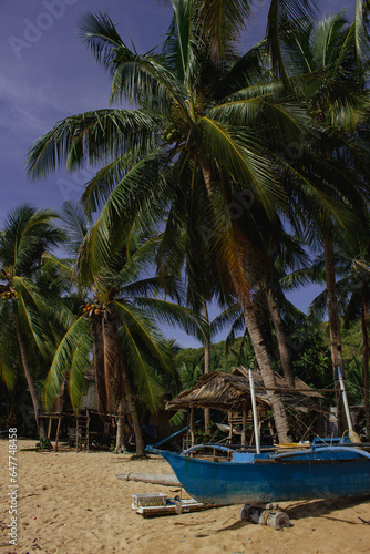 Philippine beach in a beautiful picture with a boat and a hut