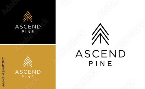 Simple line Pine Tree  cedar Logo. Ascend Design Vector