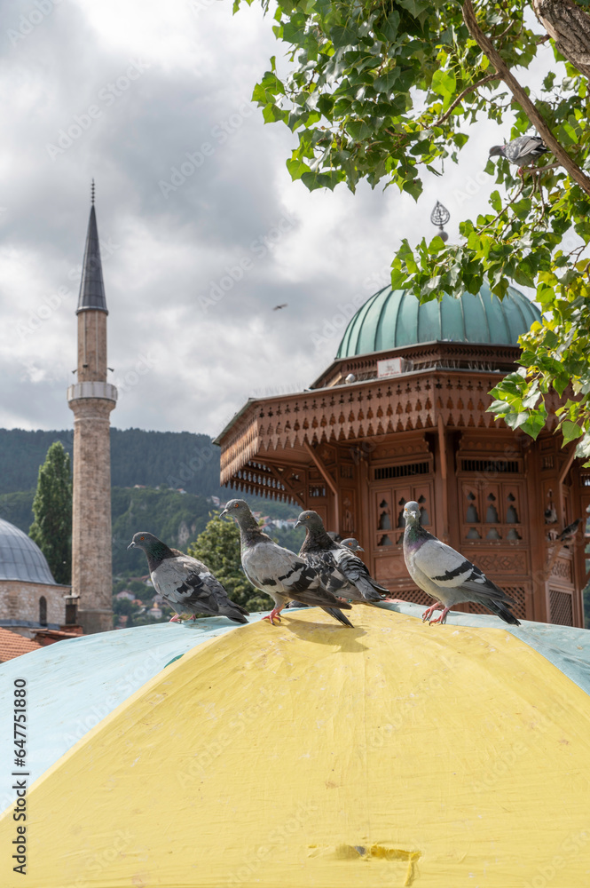 Obraz na płótnie Baščaršija stare centrum miasta Sarajewo Sebilj fontanna, źródło z wodą. Meczet Fontanna i gołębie siedzące na parasolce. w salonie