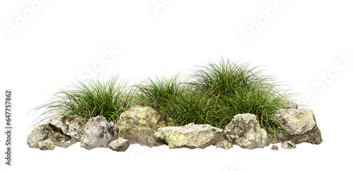 Isolate grassy meadows growth and rock composition transparent backgrounds 3d illustrations png photo