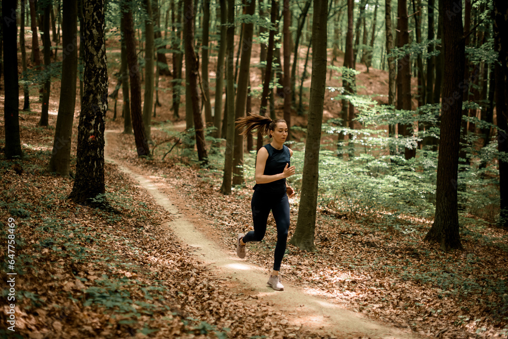 Obraz premium Young active fit woman running on narrow forest path between tall leafy trees