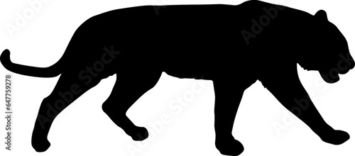 Sketch beautiful tiger on a white background