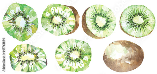 kiwi fruit painted with watercolor isolated on white background.Fruits are rich in vitamin C for good health.