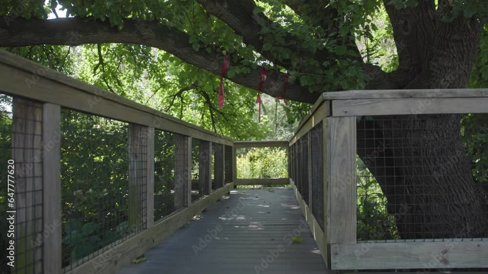 Slow motion of dangerous wooden pathway and patio with its height limit being close to a large tree branch and leaves Slow motion of dangerous wooden pathway and patio with its height limit being close to a large tree branch and leaves