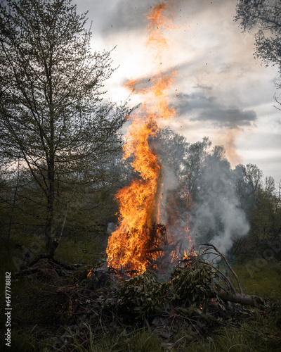Lagerfeuer