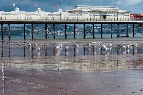 Pier cast reflections on the sand. Seagulls gather on the sandy beach below. copy space. photo