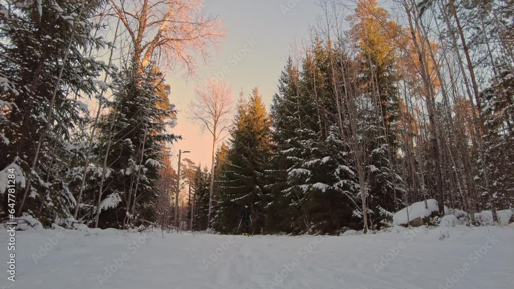 Beautiful view of man running on classic plastic skis on ski track in winter forest. Sweden. Beautiful view of man running on classic plastic skis on ski track in winter forest. Sweden.