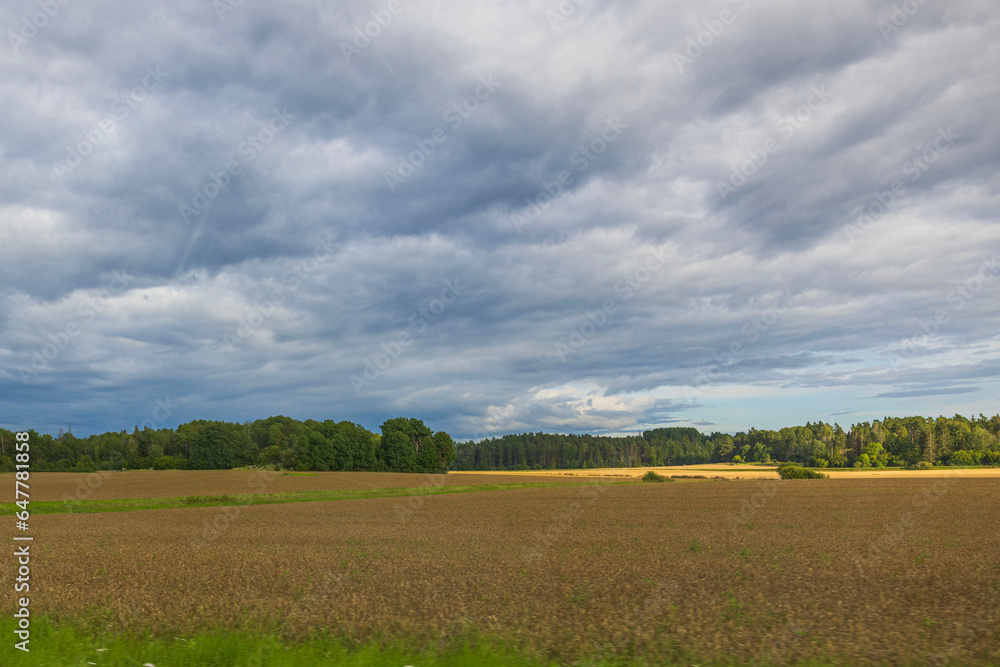 Beautiful view from moving car of wheat field under clouded sky. Sweden. Beautiful view from moving car of wheat field under clouded sky. Sweden.