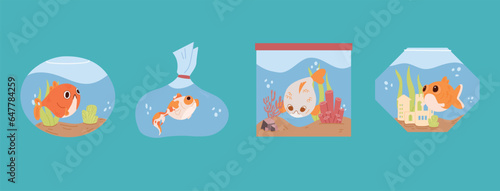 Cartoon home aquarium with fish, corals, plants and decor. A set of aquariums with goldfish.