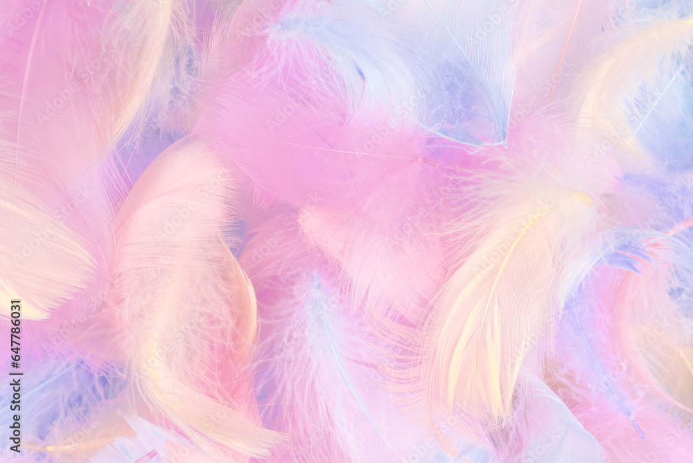 Colorful feather background, top view. Colorful feather background, top view.