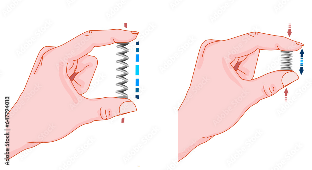 Metal spring stretched and clamped between fingers. Elasticity ...