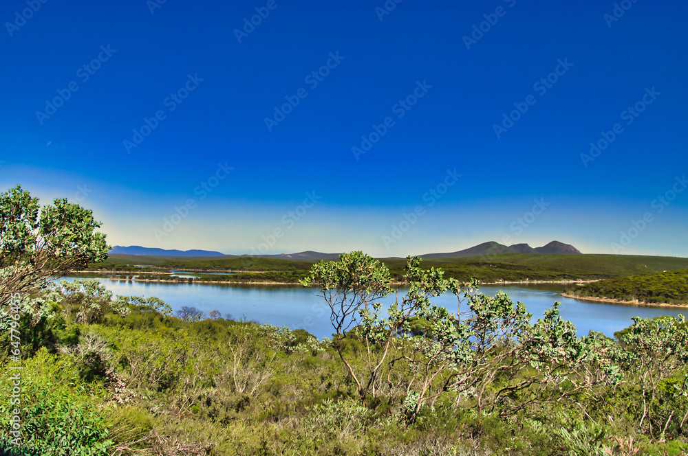 View of the Hamersley Inlet and the Wheejarup Range (Whoogarup Range), Fitzgerald River National Park, Western Australia, on a sunny summer day. Indigenous vegetation in the foreground.

