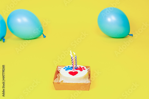 cake for a dog with a candle on a yellow studio background. Decorated with paw print. I love my pet.