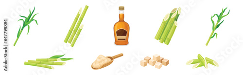 Sugar Cane Green Plant Stem with Leaf and Rum Bottle with Granulated Sugar Vector Set