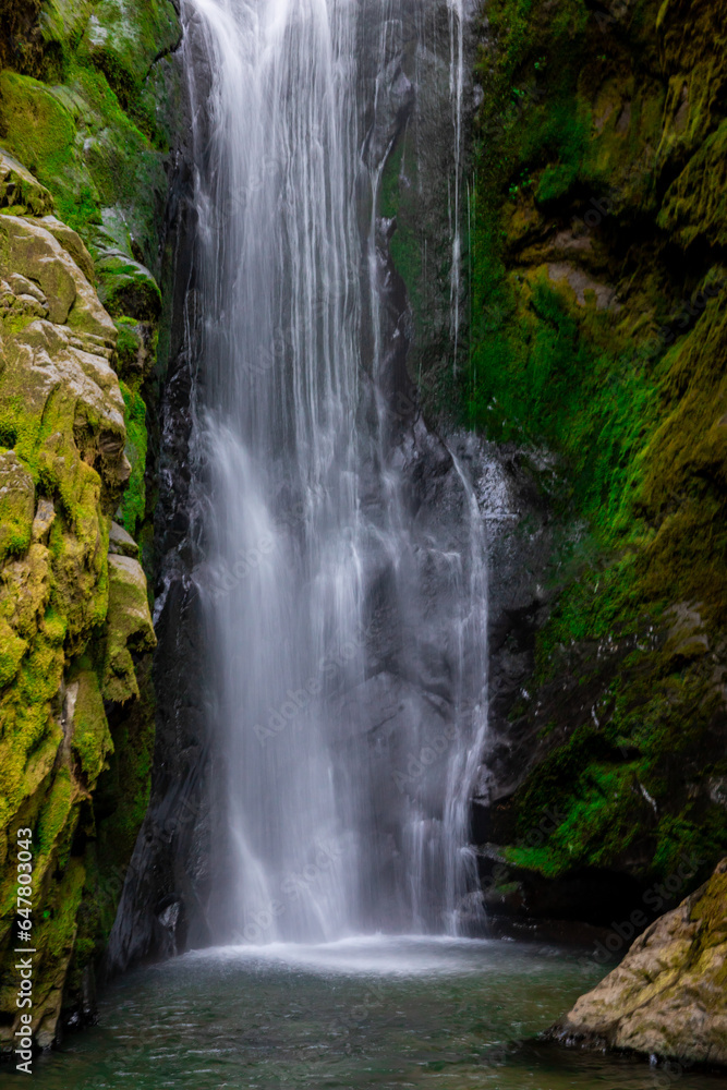 Fototapeta premium Pinard Falls Close Up Umpqua National Forest