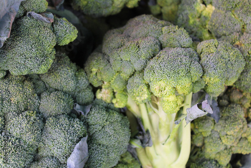 healthy eating broccoli close-up