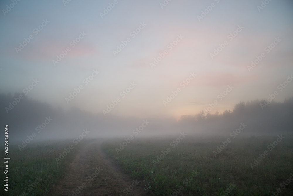 Landscape of evening fog at sunset over a field.