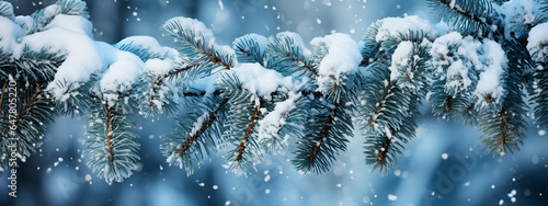 Christmas decorations banner. Snow spruce branch with snowy blue background.