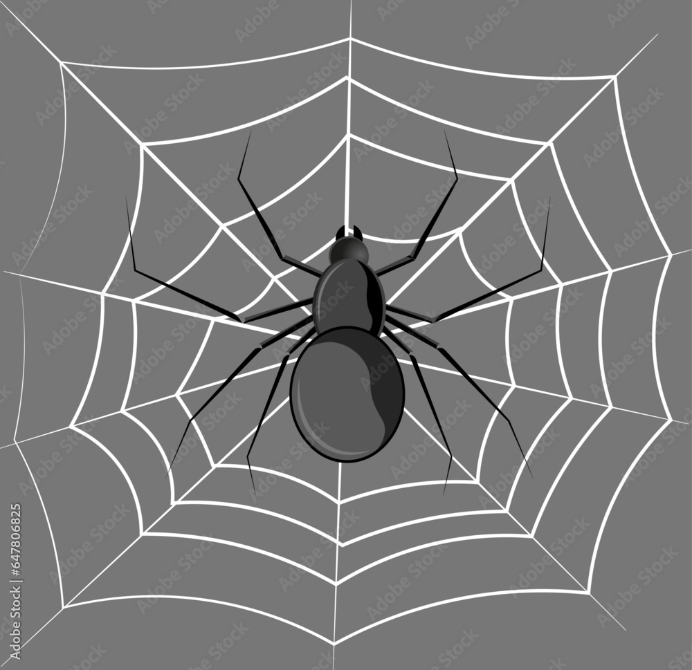 Naklejka premium Spider on spider web 