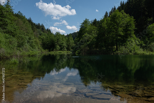 Märtesweiher im Schwarzwald