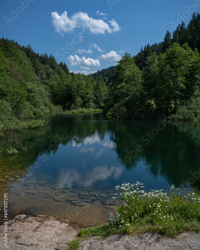 Spiegelung in einem See im Wald