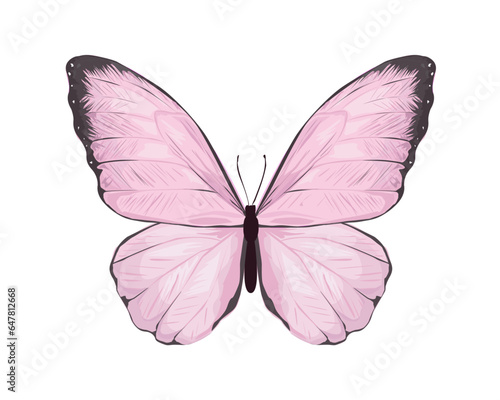 Beautiful monarch butterfly isolated on white background 3d illustration set of watercolor pink Morpho butterfly