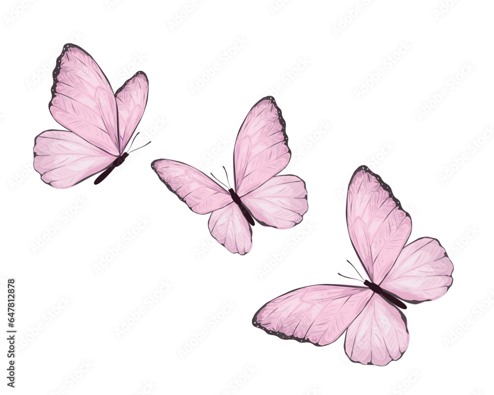 Fototapeta premium set of butterflies