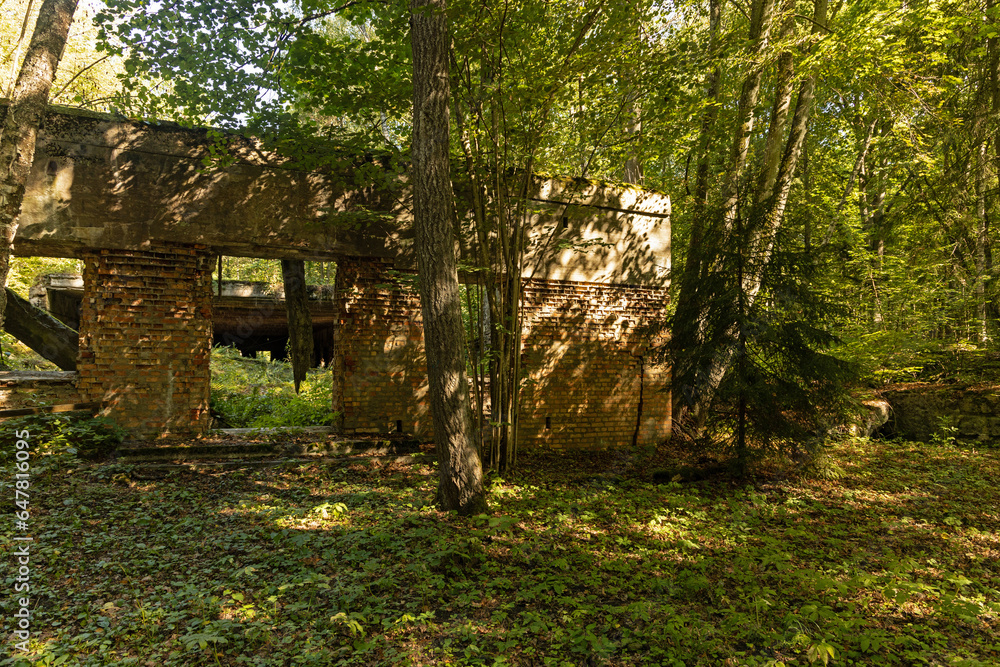 ruins of the headquarter of Hitler called wolfs lair or in german Wolfsschanze near Ketrzyn in Poland ruins of the headquarter of Hitler called wolfs lair or in german Wolfsschanze near Ketrzyn in Poland