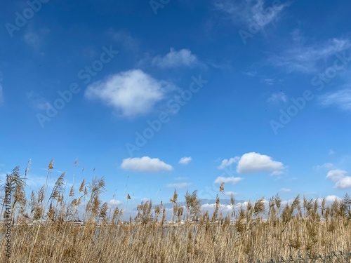 Landschaft in Andalusien bei Almeria photo