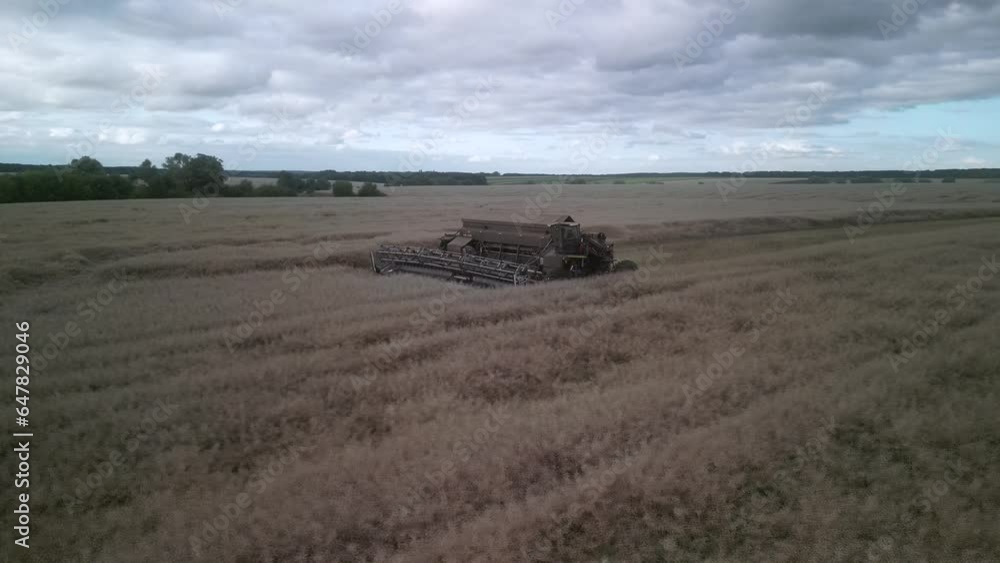 Modern Combine Harvester at canola harvest in Ukraine Modern Combine Harvester at canola harvest in Ukraine