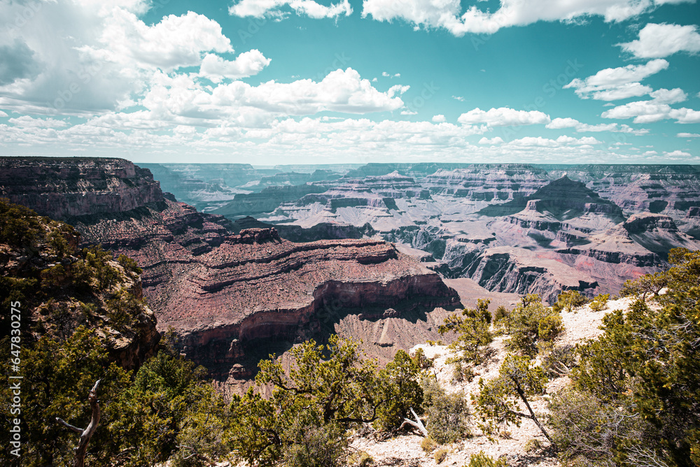 Grand Canyon National Park, North Rim. Canyon national park. Red rocks canyon in Utah. Nature landscape.