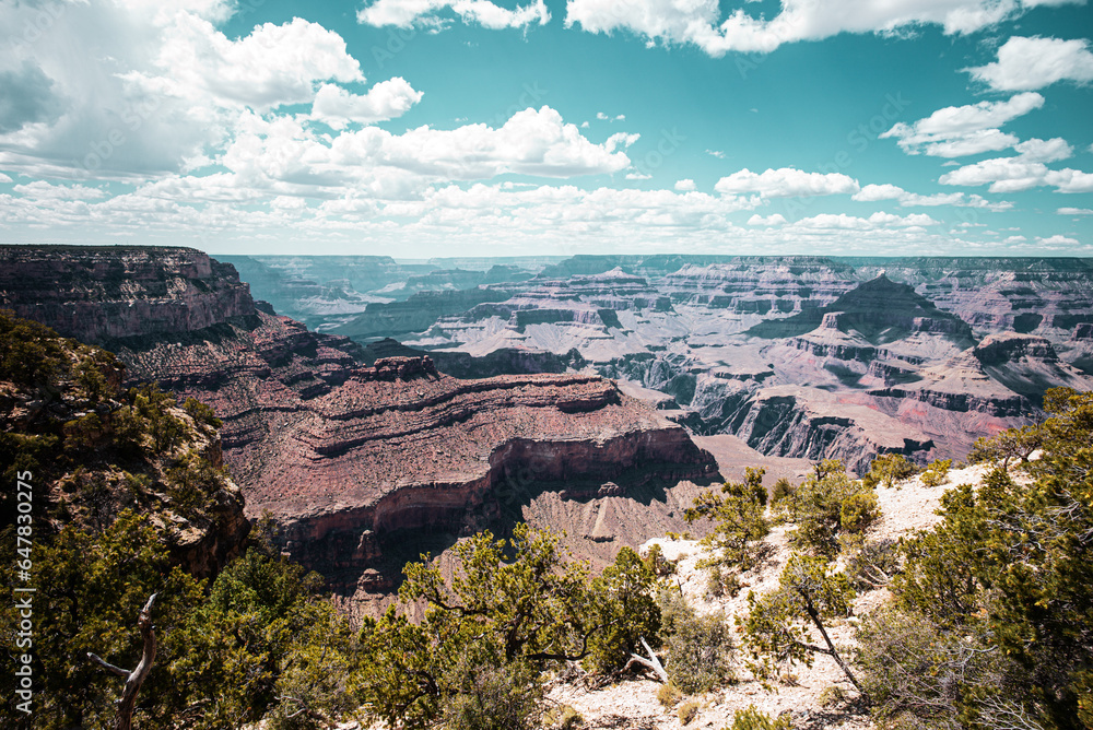 Grand Canyon National Park, North Rim. Canyon national park. Red rocks canyon in Utah. Nature landscape. Grand Canyon National Park, North Rim. Canyon national park. Red rocks canyon in Utah. Nature landscape.
