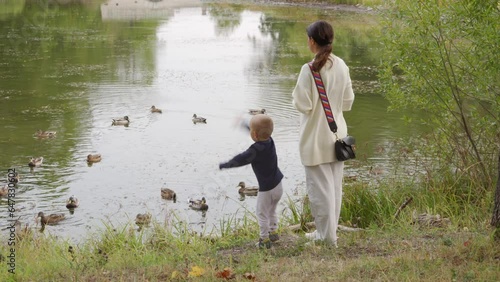 mother and toddler child feed wild ducks on a pond in the park, Aleksandrovsky Park, Pushkin, St. Petersburg, Russia. photo