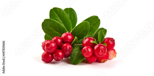 Wild cowberry, foxberry, lingonberry with leaves, isolated on white background. High resolution image.